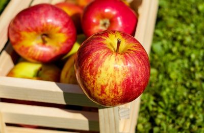 Nowoczesny preparat pozwalający bezpiecznie przechować jabłka